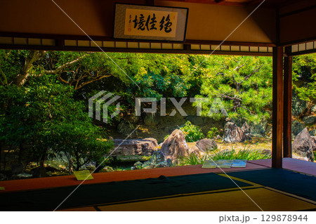 【京都風景】圓徳院　ねね終焉の地の庭 129878944