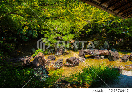 【京都風景】圓徳院 ねね終焉の地の庭 【京都風景】圓徳院 ねね終焉の地の庭 129878947