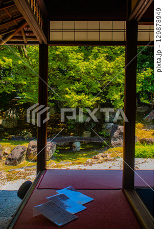【京都風景】圓徳院 ねね終焉の地の庭 【京都風景】圓徳院 ねね終焉の地の庭 129878949