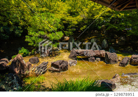 【京都風景】圓徳院 ねね終焉の地の庭 【京都風景】圓徳院 ねね終焉の地の庭 129878951