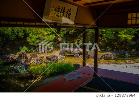 【京都風景】圓徳院　ねね終焉の地の庭 129878964