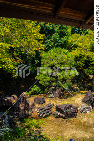 【京都風景】圓徳院　ねね終焉の地の庭 129878969