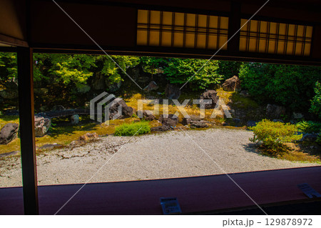 【京都風景】圓徳院 ねね終焉の地の庭 【京都風景】圓徳院 ねね終焉の地の庭 129878972
