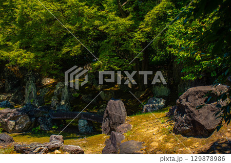 【京都風景】圓徳院　ねね終焉の地の庭 129878986