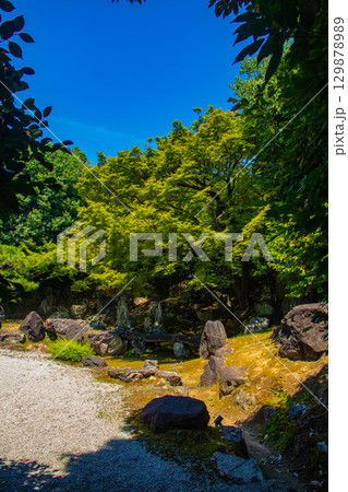 【京都風景】圓徳院　ねね終焉の地の庭 129878989