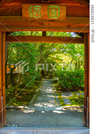 【京都風景】圓徳院 ねね終焉の地の庭 【京都風景】圓徳院 ねね終焉の地の庭 129878995