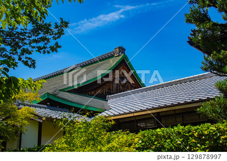 【京都風景】圓徳院 ねね終焉の地の庭 【京都風景】圓徳院 ねね終焉の地の庭 129878997
