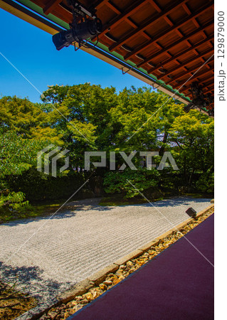 【京都風景】圓徳院 ねね終焉の地の庭 【京都風景】圓徳院 ねね終焉の地の庭 129879000