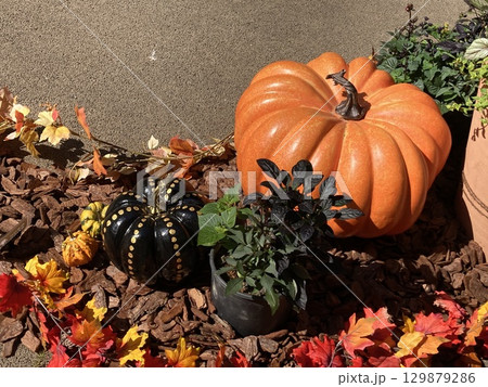ハロウィンかぼちゃと秋色づくし 129879286