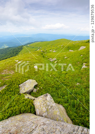 beautiful nature in mountain of ukraine on a cloudy day. hiking environment with rock and grass on the hills. view from the top in to the distant valley beautiful nature in mountain of ukraine on a cloudy day. hiking environment with rock and grass on the hills. view from the top in to the distant valley 129879536