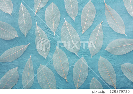Autumn leaves background. Skeleton leaves on a blue texture. Fall banner Autumn leaves background. Skeleton leaves on a blue texture. Fall banner 129879720