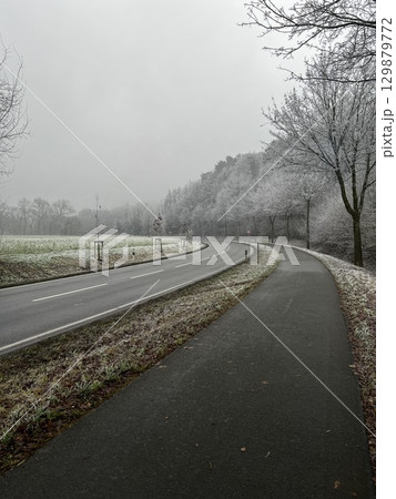 Frost-covered forest near the town of Bevergern, Germany Frost-covered forest near the town of Bevergern, Germany 129879772