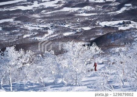 厳冬のニセコアンヌプリ北尾根にある樹氷の間を滑るスキーヤー 129879802