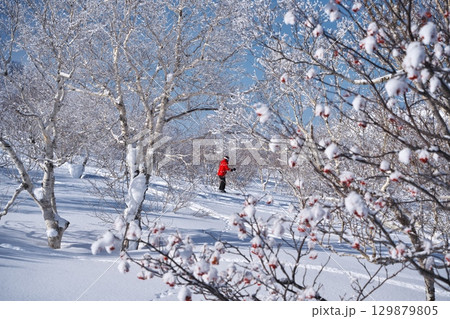 厳冬のニセコアンヌプリ北尾根にある樹氷の間を滑るスキーヤー 厳冬のニセコアンヌプリ北尾根にある樹氷の間を滑るスキーヤー 129879805