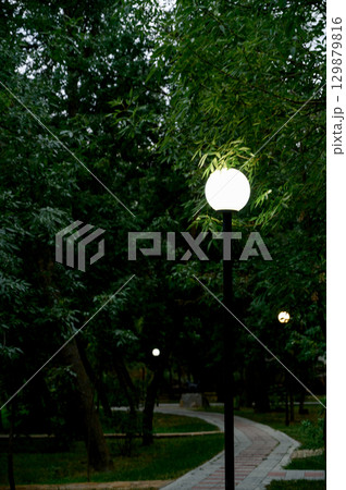 stone path surrounded by greenery and trees. 129879816