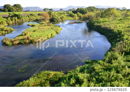朝日を浴びた岐阜市鳥羽川の河川敷 朝日を浴びた岐阜市鳥羽川の河川敷 129879820