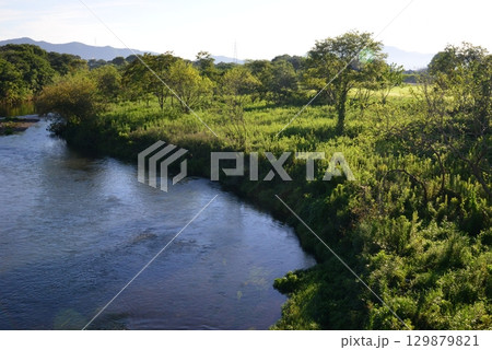 朝日を浴びた岐阜市鳥羽川の河川敷 129879821