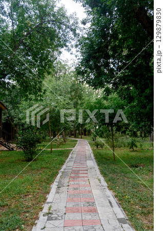 stone path surrounded by greenery and trees. stone path surrounded by greenery and trees. 129879830