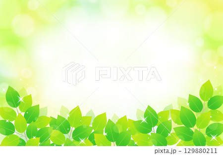新緑の葉っぱとキラキラの爽やか背景イラスト素材 新緑の葉っぱとキラキラの爽やか背景イラスト素材 129880211