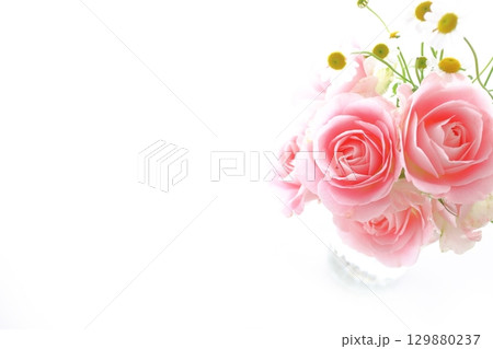 白背景にピンク色の薔薇とマトリカリア 白背景にピンク色の薔薇とマトリカリア 129880237