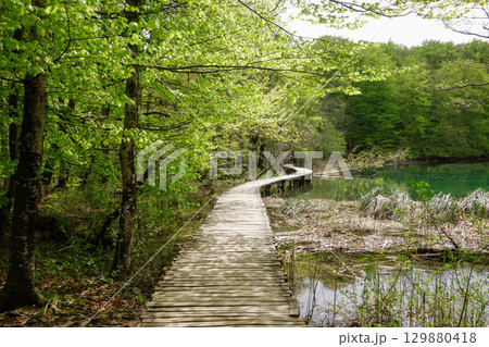 wooden platform between lakes of Plitvice Lakes National Park in Croatia wooden platform between lakes of Plitvice Lakes National Park in Croatia 129880418