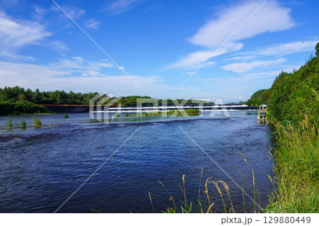 夏の千代田堰堤（2025年7月） 129880449