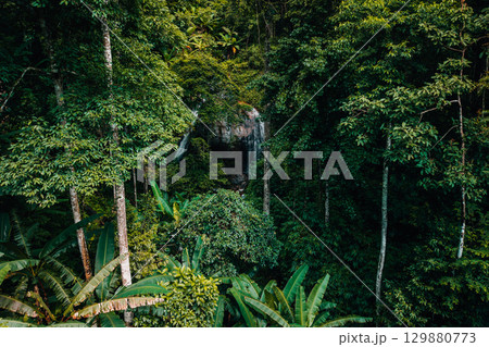 Aerial view of waterfalls and rainforests, forests and environmental conservation 129880773
