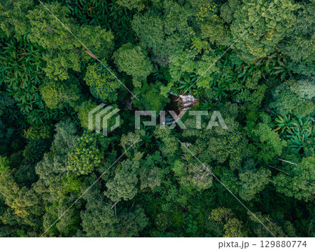 Aerial view of waterfalls and rainforests, forests and environmental conservation 129880774