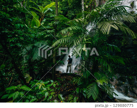 Dark green leaves at the rainforest waterfall Dark green leaves at the rainforest waterfall 129880775