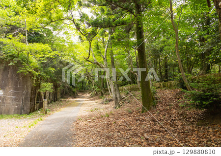 上見坂堡塁跡　兵舎跡 129880810