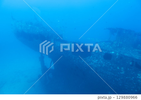 海底に眠る沈没船の残骸 129880966