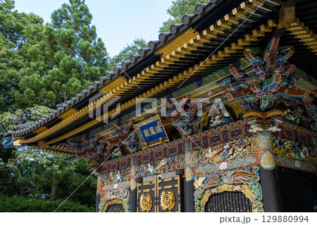 仙台瑞鳳殿七夕ライトアップ 129880994