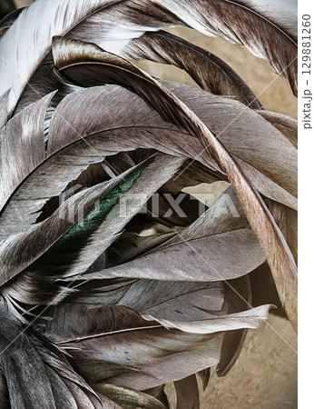 The intricate arrangement of textured rooster feathers shows natural patterns and colors in close-up 129881260