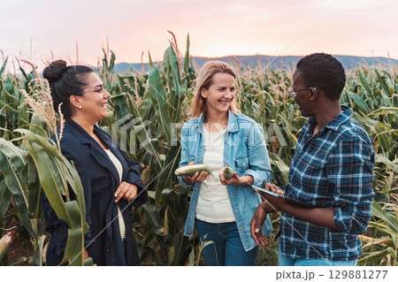 Farmers examining corn crops in field during harvest season 129881277