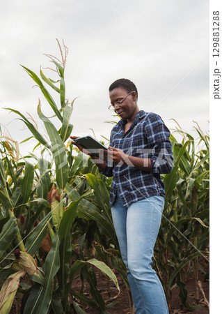 Young African Farmer Woman Using Digital Tablet in Corn Field 129881288