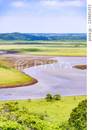青空のもと、琵琶瀬展望台から望む霧多布湿原の風景 129881453