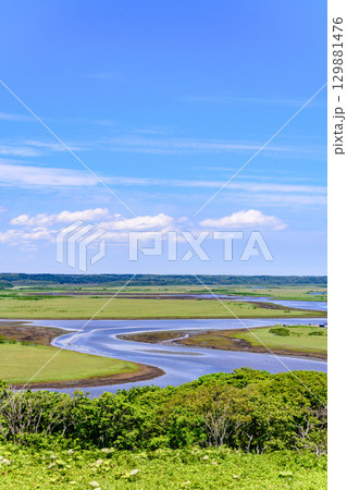 青空のもと、琵琶瀬展望台から望む霧多布湿原の風景 129881476