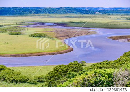 青空のもと、琵琶瀬展望台から望む霧多布湿原の風景 129881478