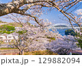 《長崎県》新西海橋と桜・春の西海橋公園 129882094