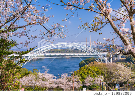 《長崎県》新西海橋と桜・春の西海橋公園 129882099