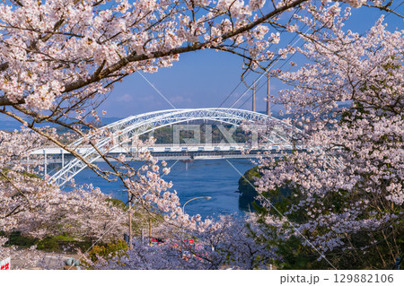 《長崎県》新西海橋と桜・春の西海橋公園 129882106