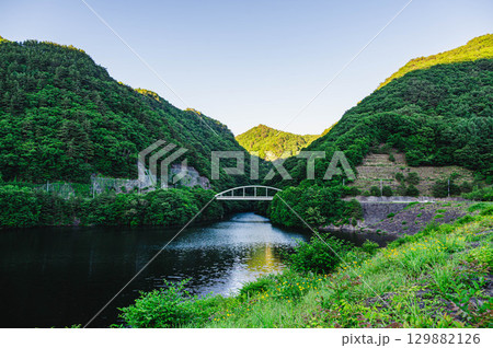 みずがき湖に架かる増富大橋　山梨県 129882126