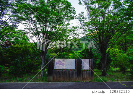 秩父多摩甲斐国立公園 山梨県 秩父多摩甲斐国立公園 山梨県 129882130