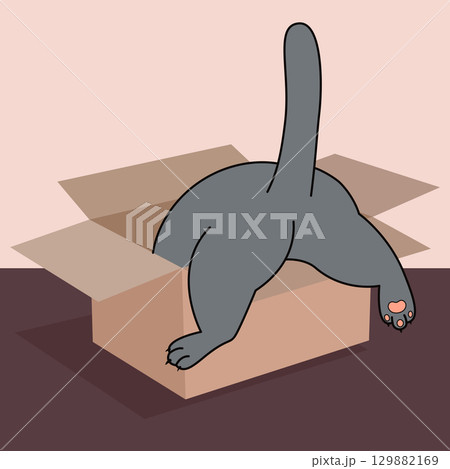 cat climbs into the cardboard box 129882169