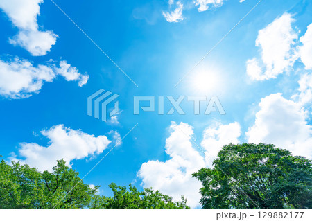 青空と雲と太陽と木立 129882177