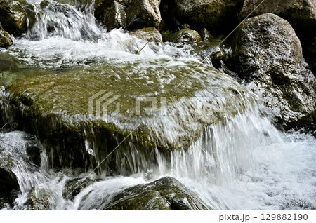天子山地の毛無山　不動沢の渓流 129882190
