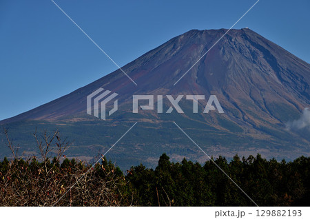 静岡県　朝霧高原より望む富士山 129882193