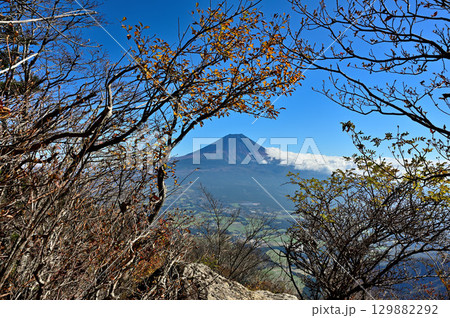 天子山地の毛無山より　紅葉の展望台からの富士山 129882292