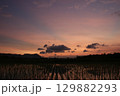 Dramatic sunset casting warm hues over a flooded rice field, with mountains and scattered clouds silhouetted in the distance. Peaceful rural scene with natural reflections on water. 129882293