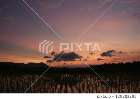 Dramatic sunset casting warm hues over a flooded rice field, with mountains and scattered clouds silhouetted in the distance. Peaceful rural scene with natural reflections on water. Dramatic sunset casting warm hues over a flooded rice field, with mountains and scattered clouds silhouetted in the distance. Peaceful rural scene with natural reflections on water. 129882293